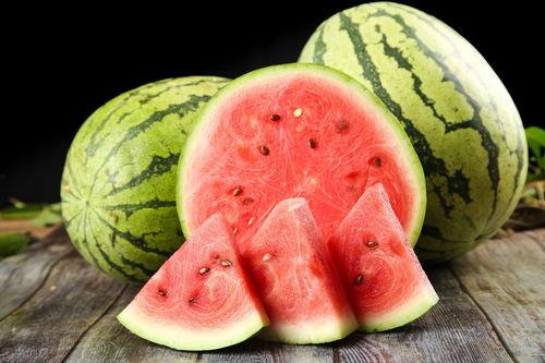 前人种瓜后人吃瓜,传承与发展的智慧轨迹