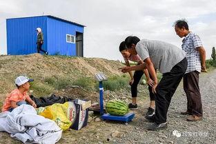 回到农村做个吃瓜群众,做个吃瓜群众的乡村日记