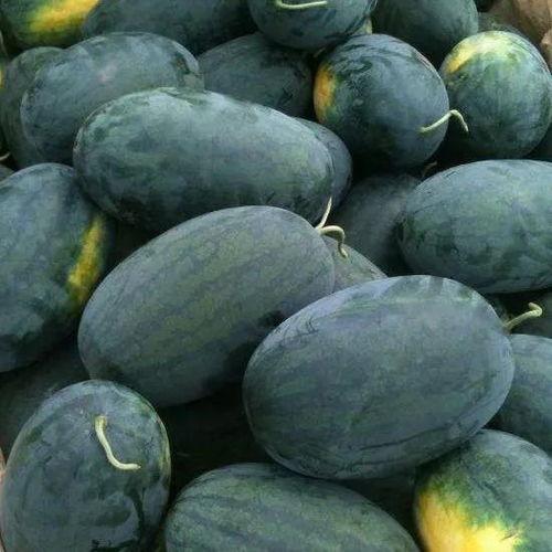 黑朱庄吃瓜,一场别开生面的吃瓜盛宴