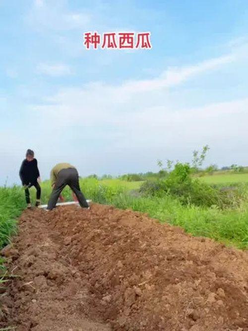 北京疫情吃瓜,北京疫情下的“吃瓜”众生相