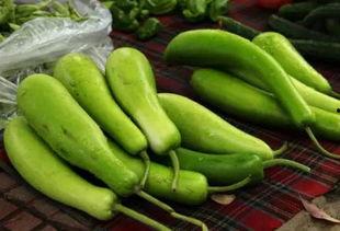 产妇吃炒葫芦瓜,炒葫芦瓜的营养与功效